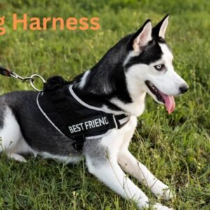 Dog Harness accessories