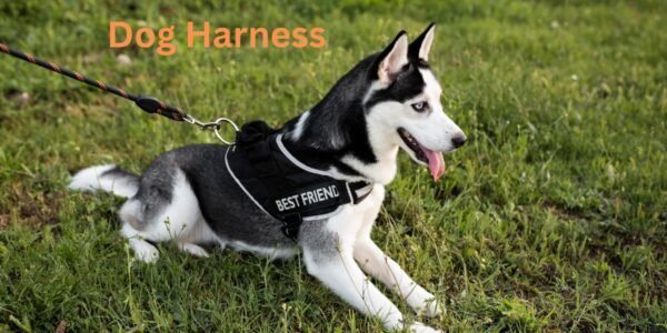 Dog Harness accessories